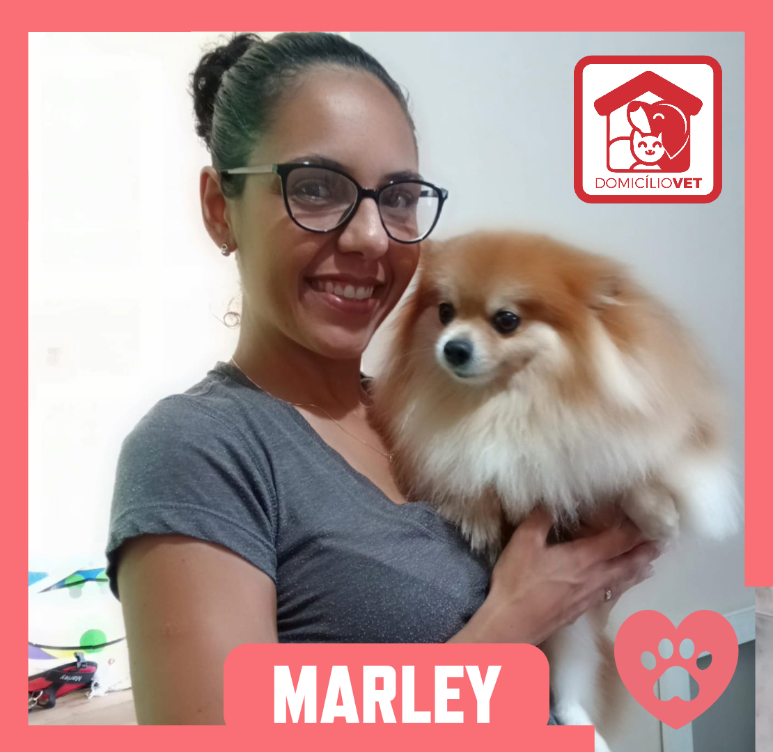 Marley — Paciente Domicílio Vet