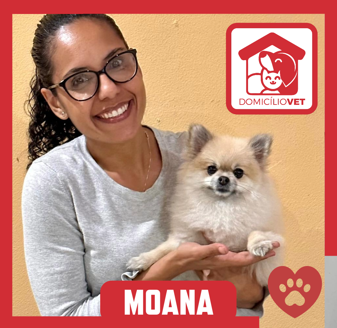 Moana — Paciente Domicílio Vet